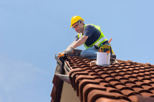 Best Roof Waterproofing  in Kingsbury, NV